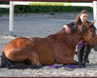 2-13JUIN 0676